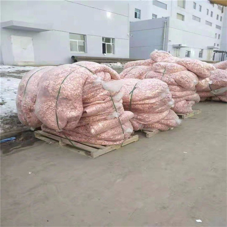 늳ؓ(f)OƬI(y)ՏSҿTF(xin)Y(ji)