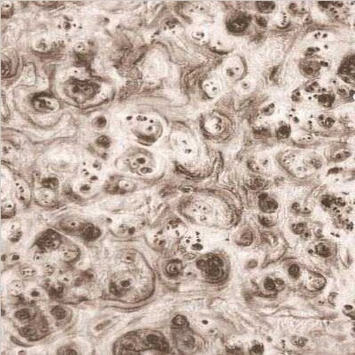 PVAˮĤO(sh)ˮĤͿa(chn)䓎Ϳa(chn)