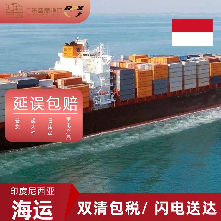 智慧國際物流跨境電商印尼雙清到門貨運專線