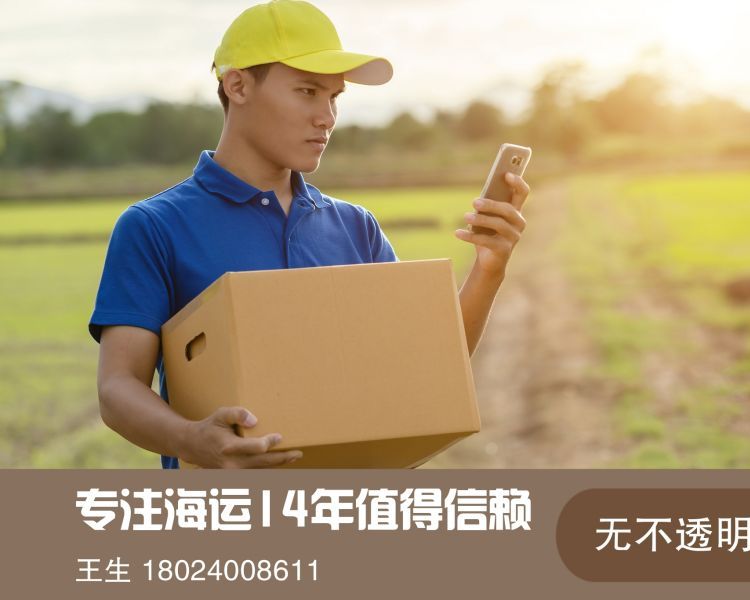 中國發(fā)貨到美國專線集運物流空運海運快遞雙清包稅到門