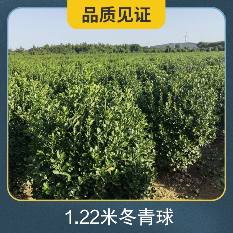 1.22׶ƷN׶~c񳣾Gh(hun)¶