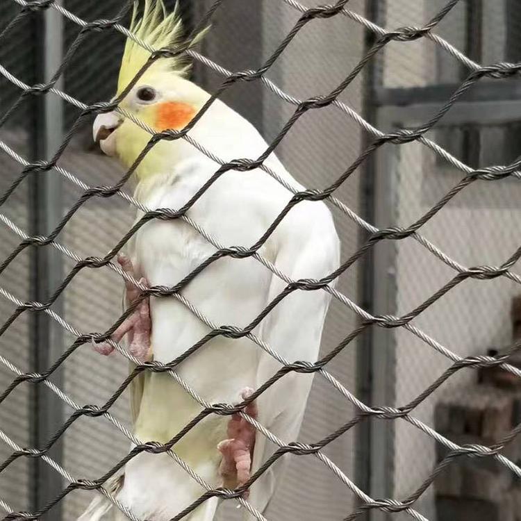 ¡BZ־W(wng)PKW(wng)Խٷo(h)W(wng)B@W(wng)