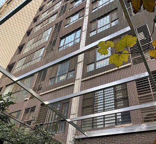 P䓾W(wng)䓽zK؛W(wng)ʯU(xin)ѴW(wng)