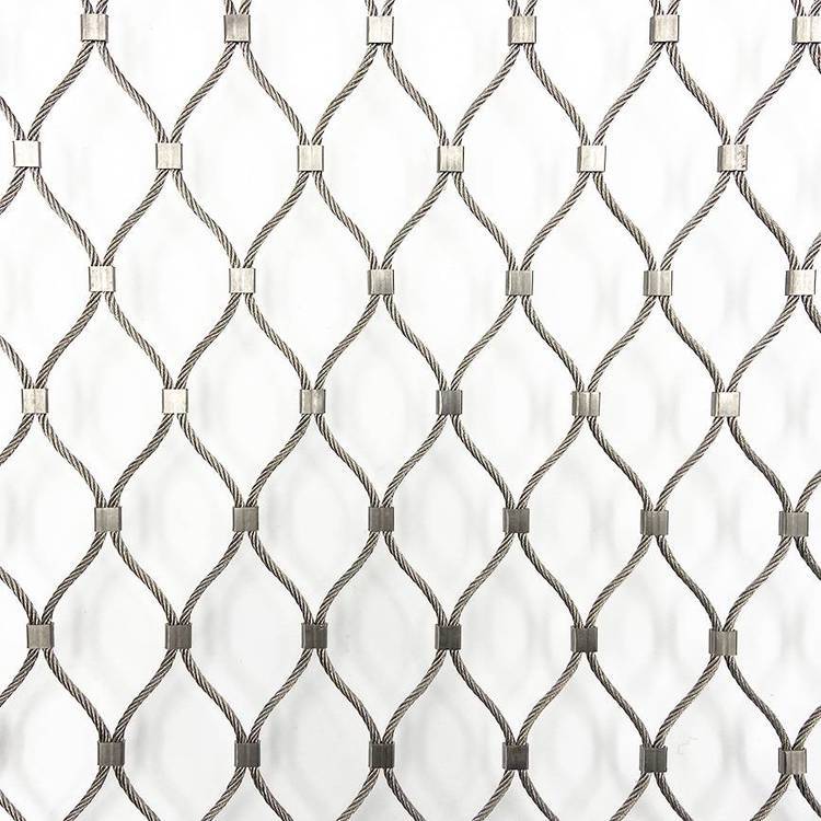 oW(wng)304䓽zKW(wng)ͥԺP䓷W(wng)ݲP䓾W(wng)