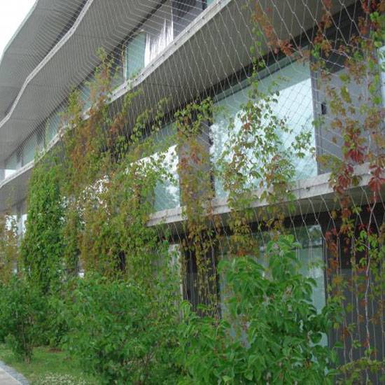 ֲP䓽zKW(wng)СԺ_(ti)ﰲݷo(h)W(wng)