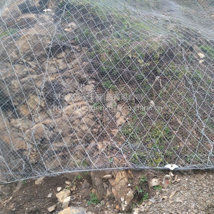 SPIDERߏ䓽gW(wng)Ƭ߅SNSԷo(h)W(wng)