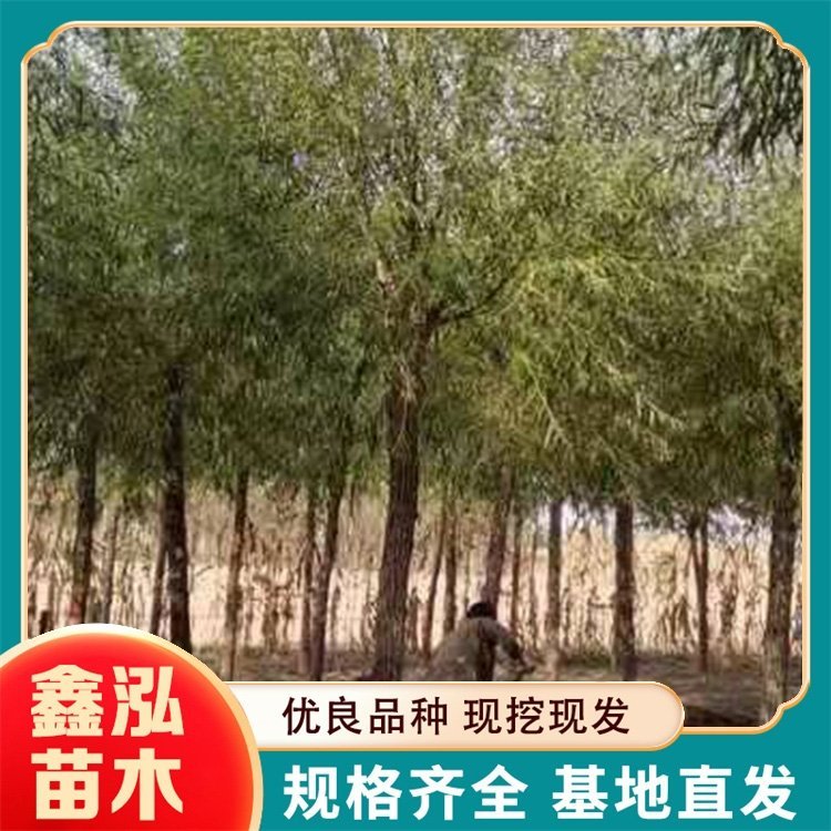 7-15ּ޽z^z2-15ַNֲz^l(f)ľ