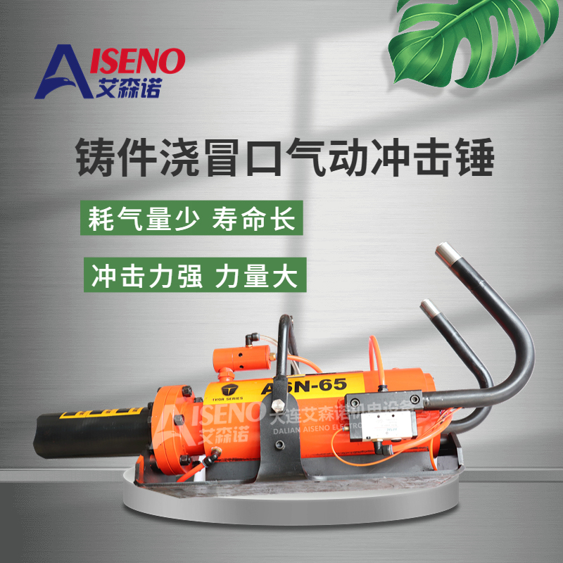 ɭZðڷxO(sh)(dng)_NTSASN-65