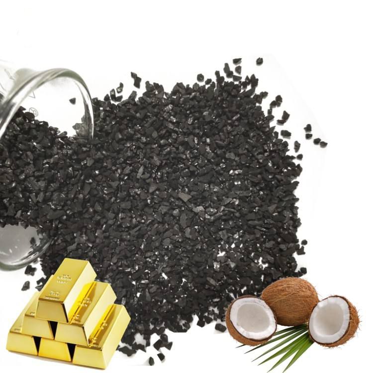 (bio)1100ֵ6-12ĿĥҬ̿̿{ѽ្S