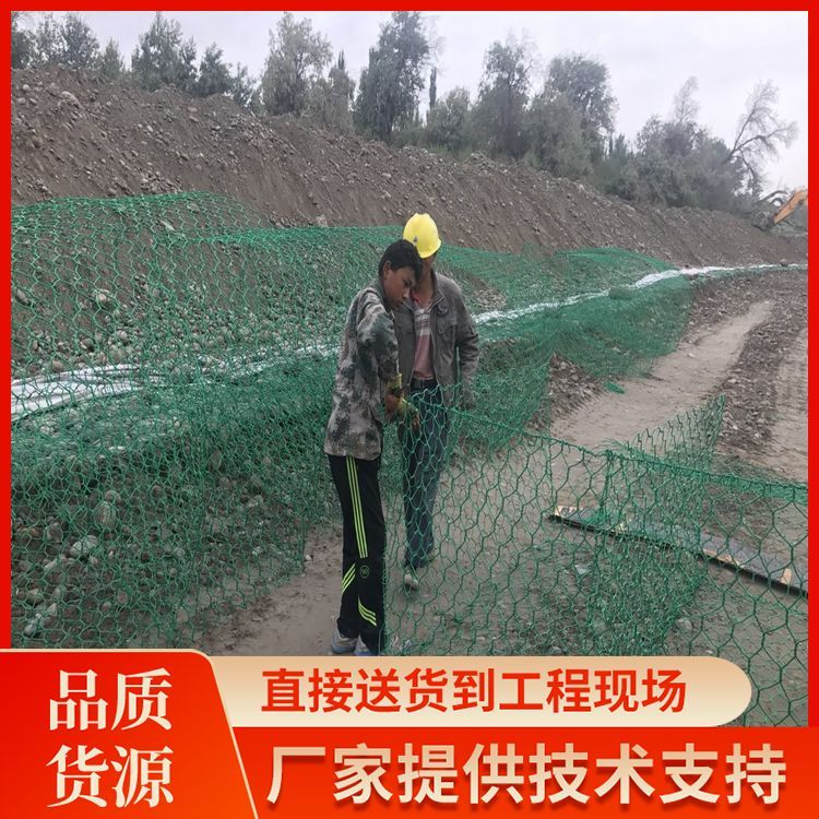 \e\ʯ\W(wng)SֱzpW(wng)\늺