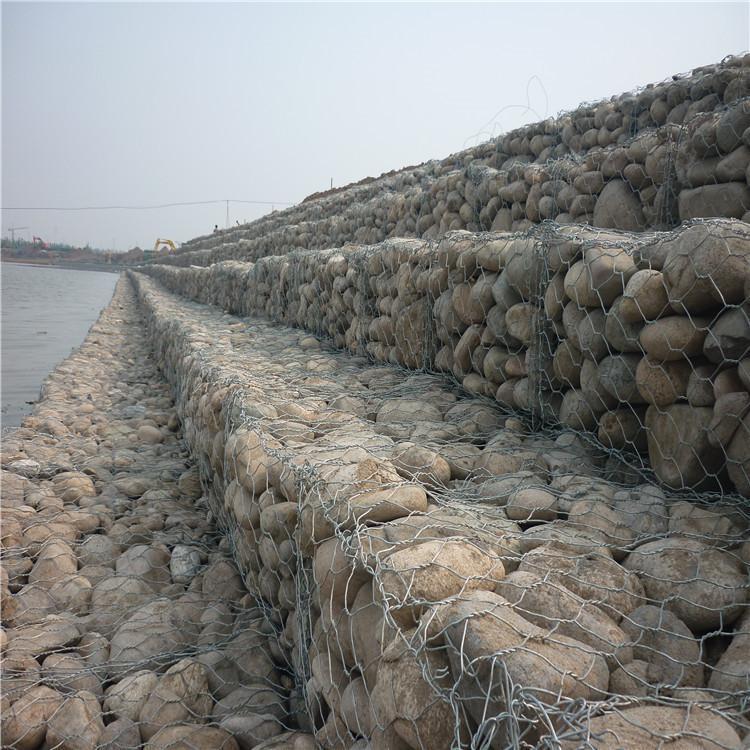 SֱۿFzʯ\W(wng)늺ʯ\W(wng)B(ti)ʯ\W(wng)