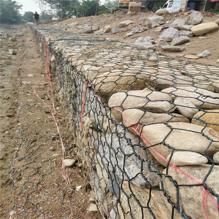 ߅·oeW(wng)yɫo¸eʯ\W(wng)ֶ֧