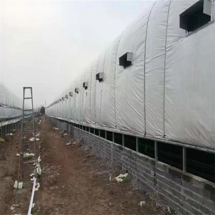 ţţȦ찲bB(yng)ţB(yng)ֳﶨ_(d)͸g