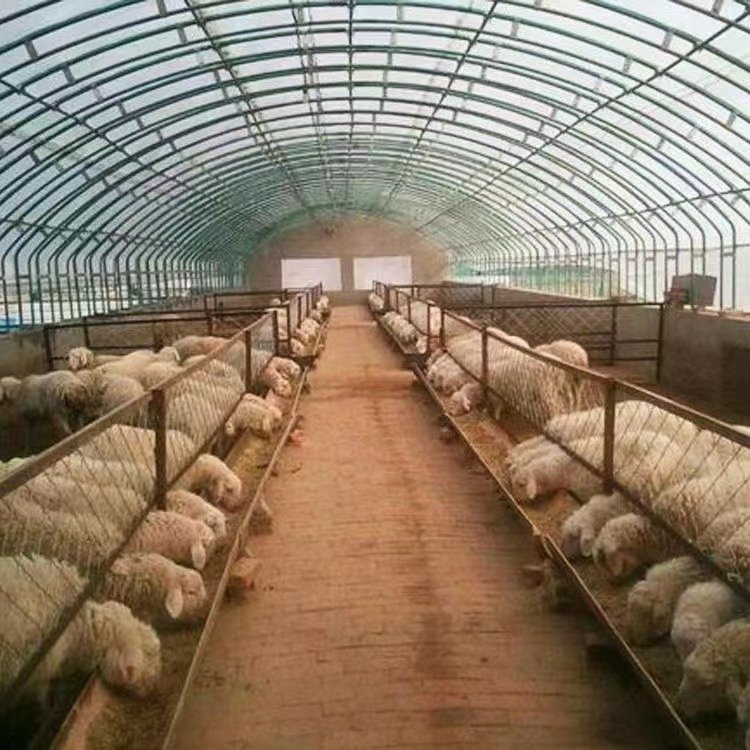 _(d)Ȧ؛B(yng)ܽO(sh)ůě