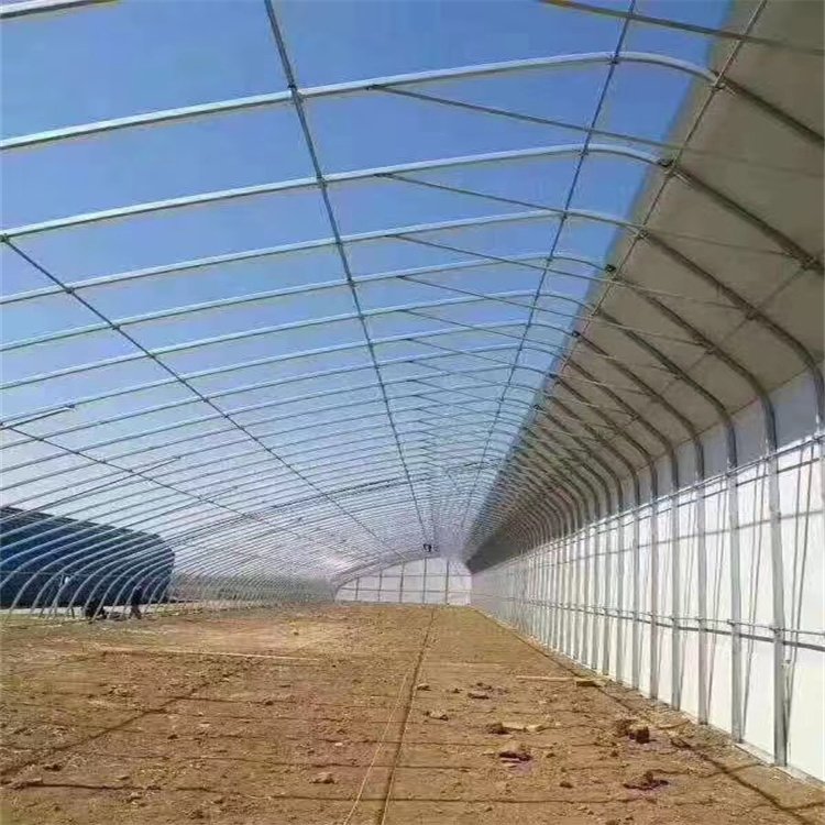 _(d)ӹĢľyʳþa(chn)