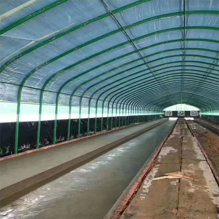 ӹ\ȦB(yng)B(yng)ֳa(chn)_(d)(jng)