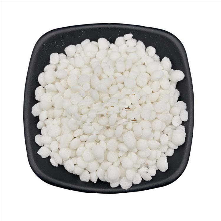 ѩh(hun)͸ٹ·I(y)}̩ɰ