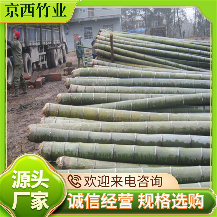 ëԴ^a(chn)ذl(f)؛ֶ֧gԏ(qing)I(y)