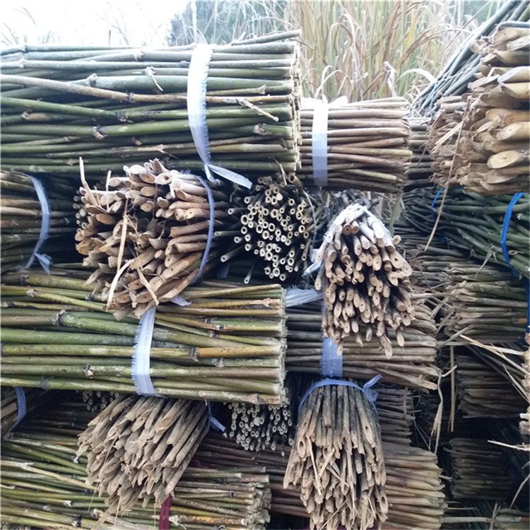 tl(f)22-25˼ܗll2.5ëI(y)