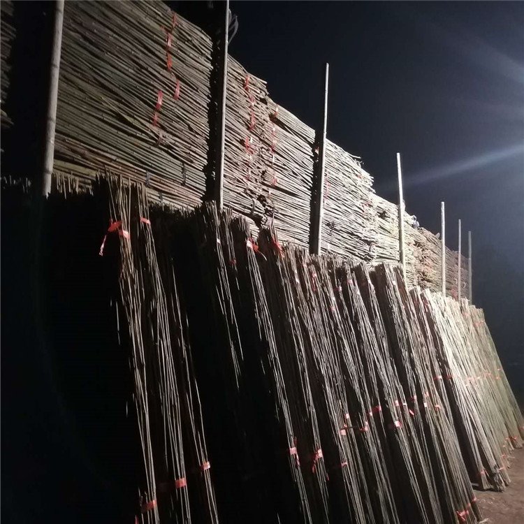 l(f)25tܸͼܹߴܹ֧θ