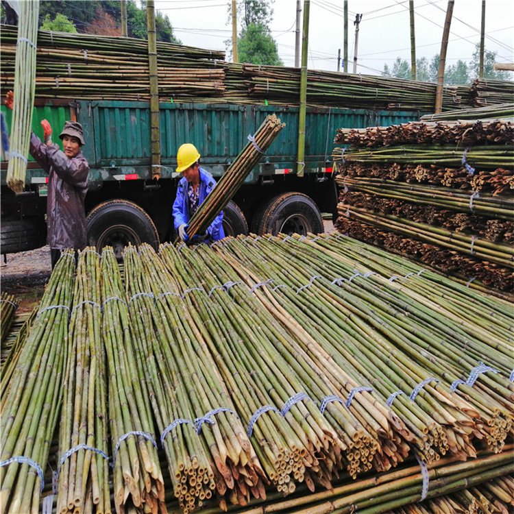 l(f)4ëU@õС͏SҰl(f)؛