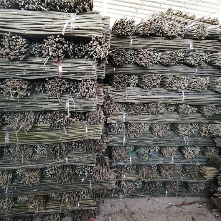 l(f)r(nng)ôܹϹ֧θͬF(xin)؛ٰl(f)I(y)