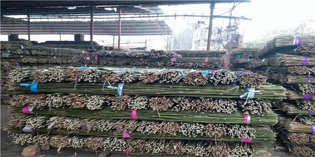 ˼l(f)Ј2-3ײ˼Դa(chn)ذl(f)؛I(y)