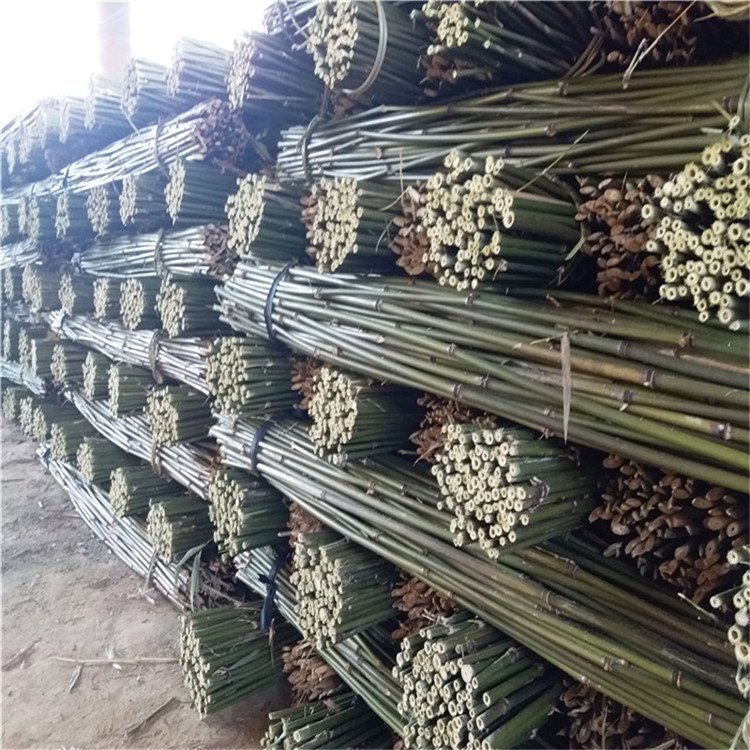 ëYԴN۸N2-3ײ˵شӜ;GU