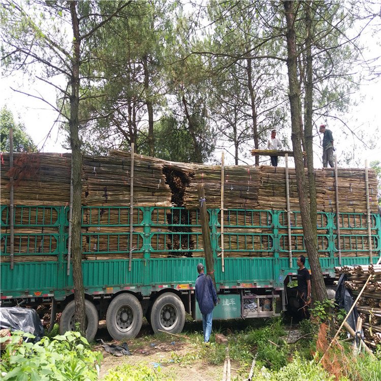 ll(f)2-25ɽˎܗl˼ܗUl(f)Sҹ(yng)I(y)