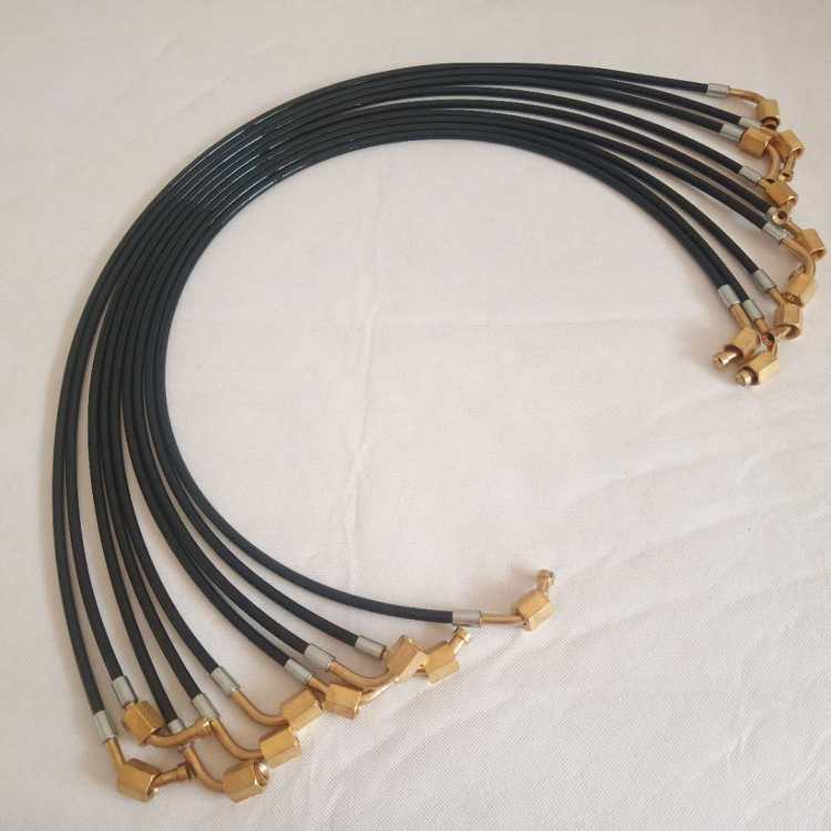 2*5y(c)ܛܿҺվy(c)ܽ^Bӹܸ߉