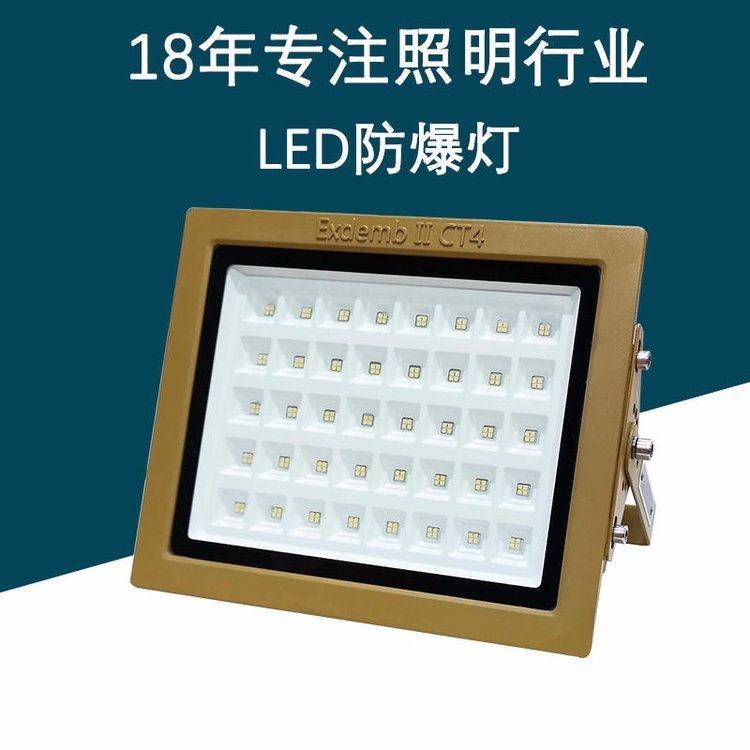 (yng)˹LEDV