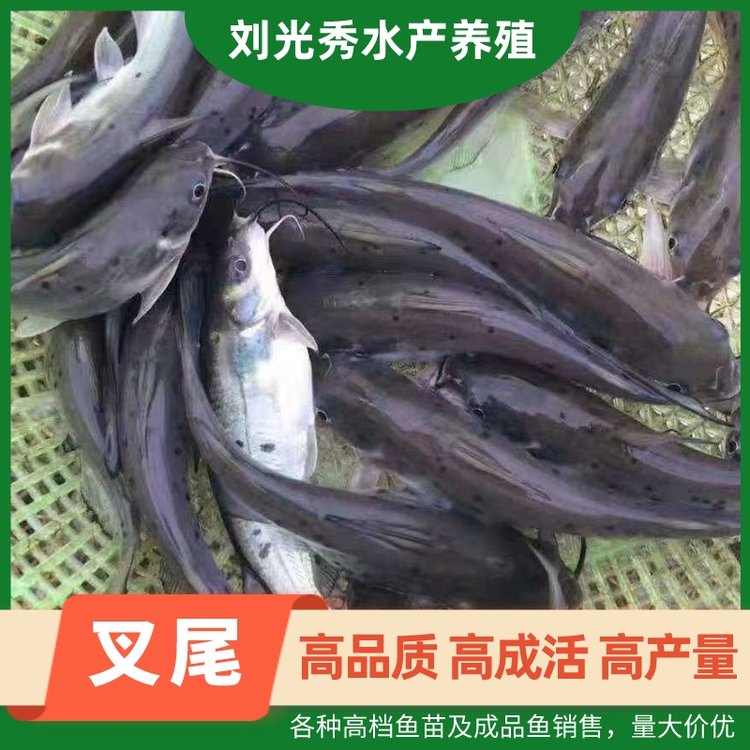 FβNߙn~缰Ʒ~جF(xin)؛~ˮ쵭ˮB(yng)ֳ