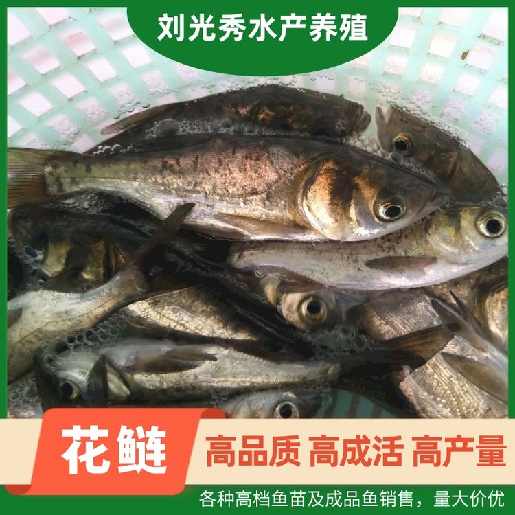 sǴ^~5-7ֻ~缰Ʒ~B(ti)ˮa(chn)B(yng)ֳ