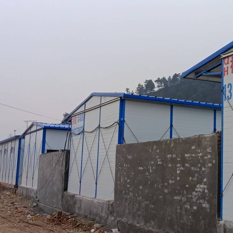 ۖ||Ᵽط䓻(dng)Ƅ(dng)(jin)R