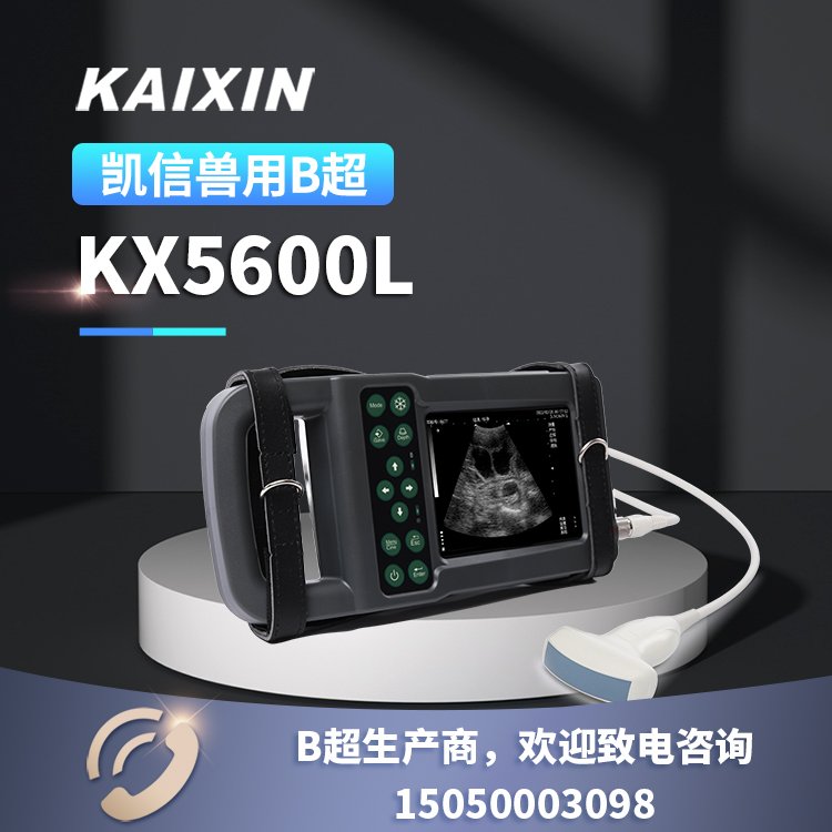 yʽiBCĸiyЃxB(yng)ibxbyi