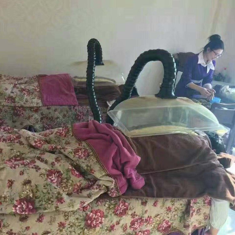 F̎O䟟ζ^Vt(y)O䰬şO