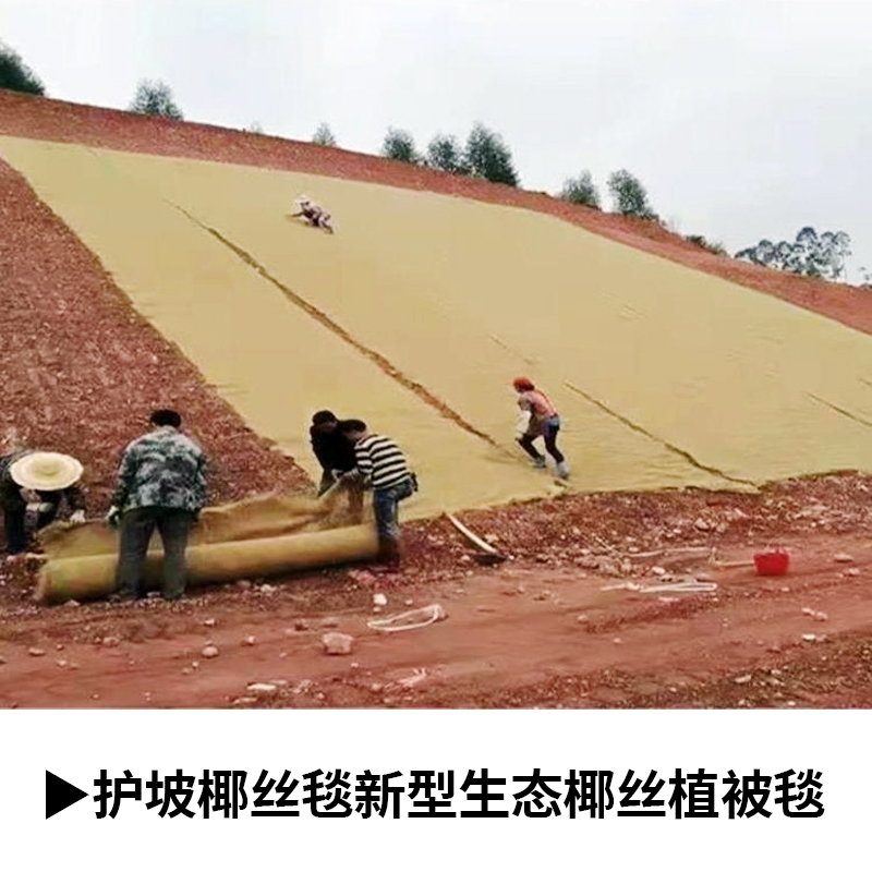 o(h)Ҭz̺B(ti)Ҭzֲ̺ӵ·߅¾GҬwSֲ̺̺