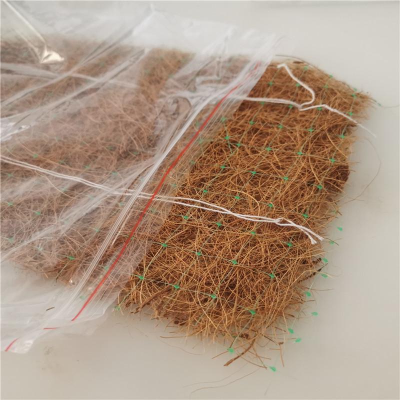 ҫAӏ(qing)B(ti)̺_̺ӵG_ˢ