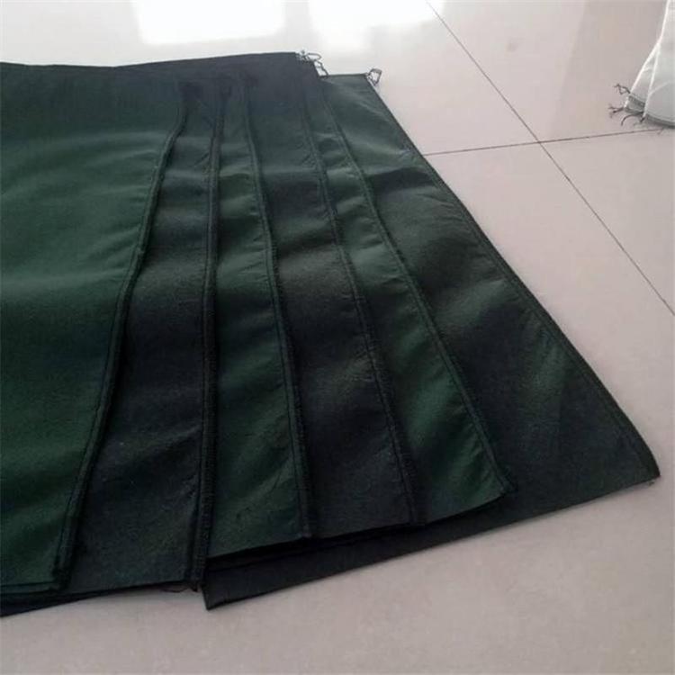 GɫB(ti)Lz|(zh)PETPPo·Ѵ