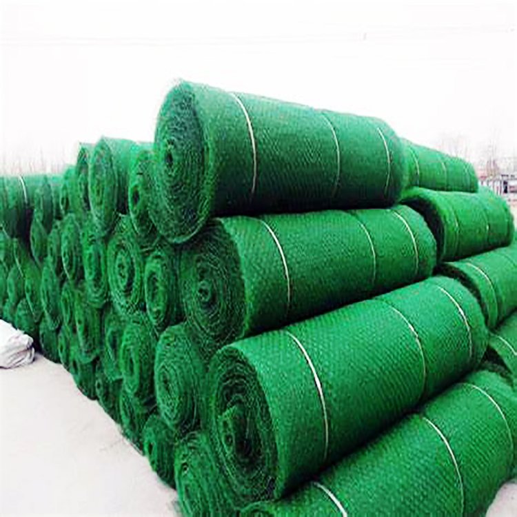 SֲW(wng)Sl(f)o(h)·ֹˮʧGo(h)ֲݼӺGɫW(wng)