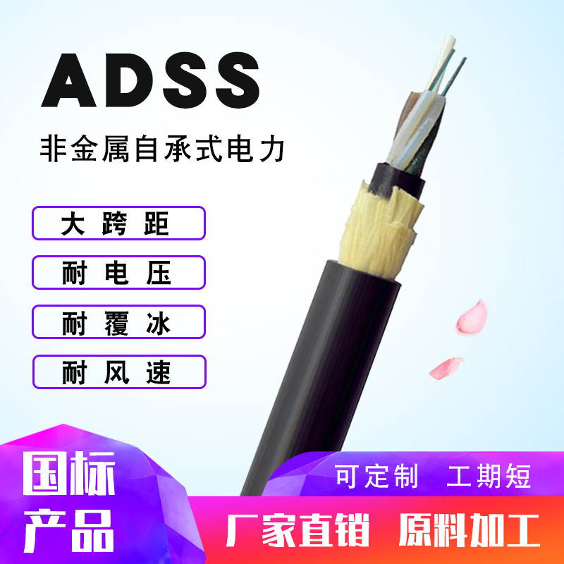 ADSS-4оģ|ADSS6о8о12о24о48оܿͨŹ|300