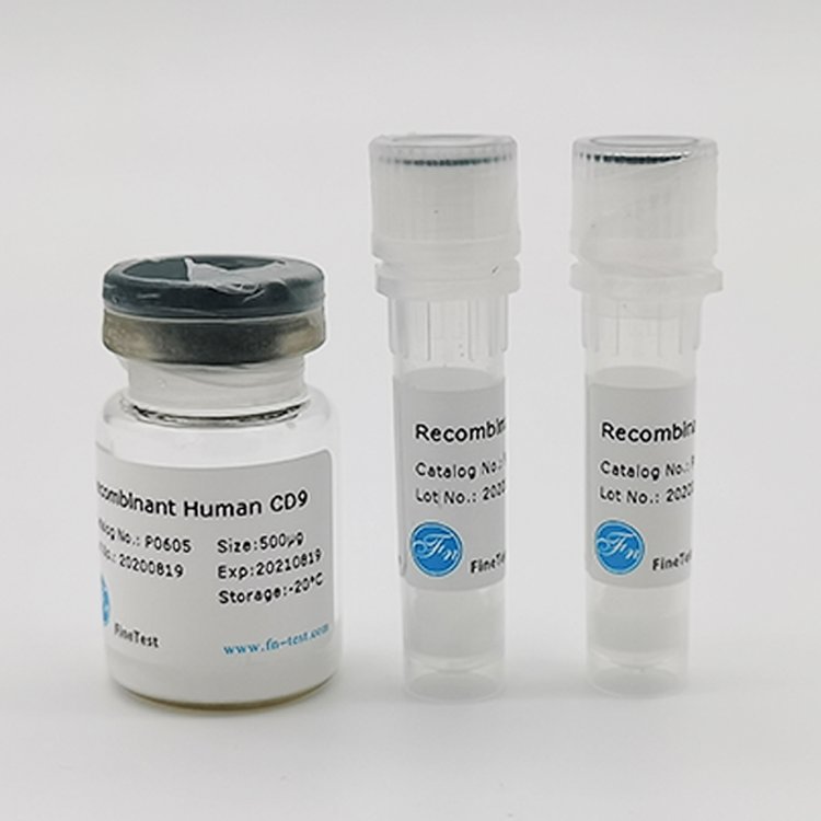 ԴPellinoؽM(RecombinantHumanPellino)