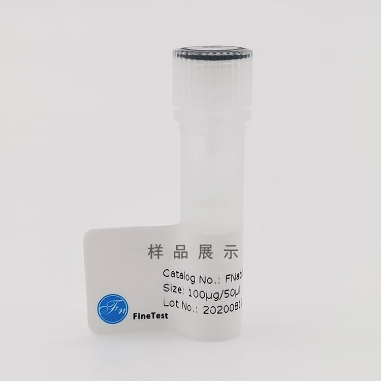 ANKRD11w(anti-ANKRD11antibody)