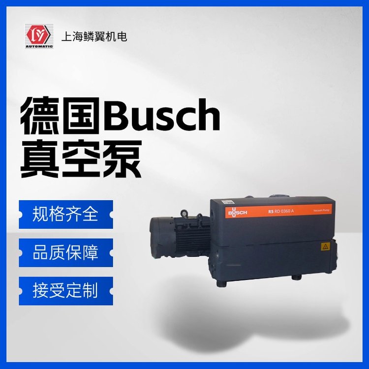BuschձԭbM(jn)ڌI(y)ۺ(w)cb