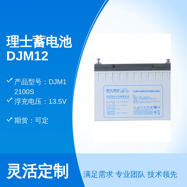 ʿ늳DJM12100sϰھ(w)12V100AHSoY|(zh)Rȫ