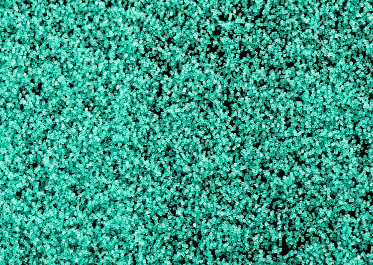 o(w)aմɰӏSҹ(yng)-PGϵɰɫAw