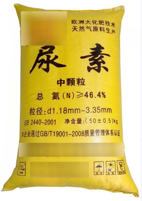 ذɫwwˮ늏SÓÓṩƷ