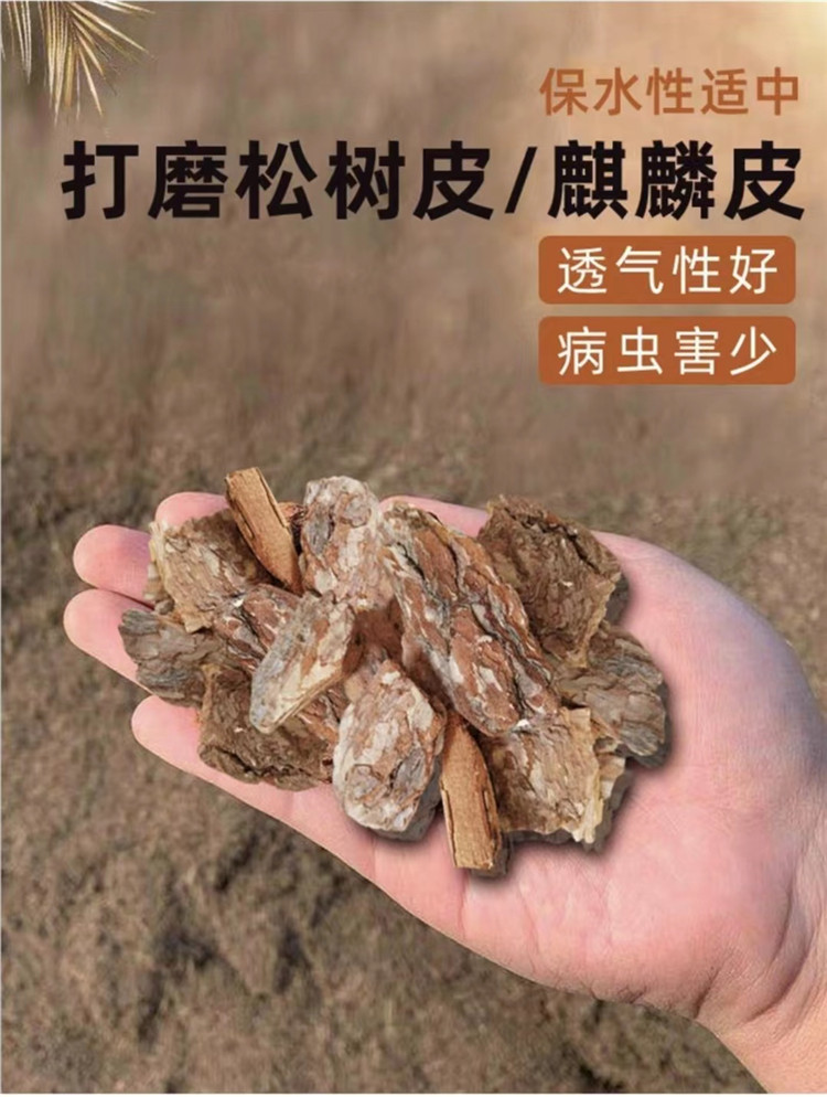 GȪɘƤVسĤdwԏ(qing)͸Ᵽ