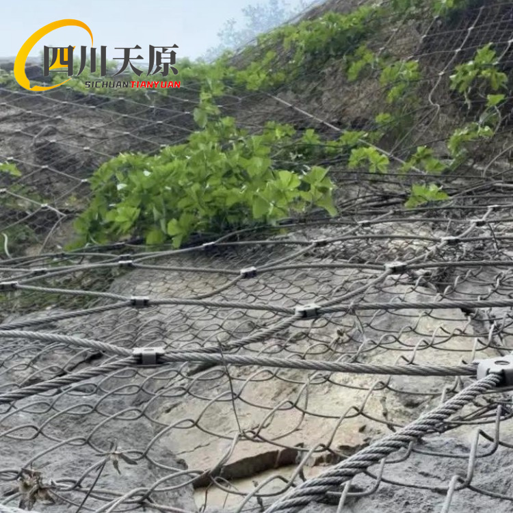 ԭɽwʯW(wng)4.5*4.5M䁾W(wng)ЧrʯKL\|(zh)