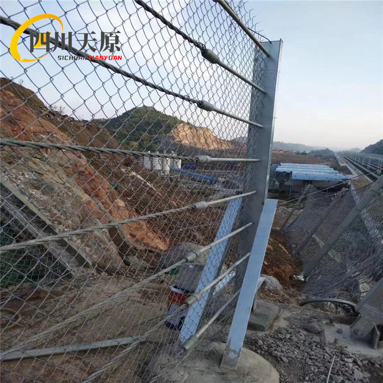 ʯr䓽zKW(wng)F·R·ɂ(c)Էo(h)W(wng)ֹ